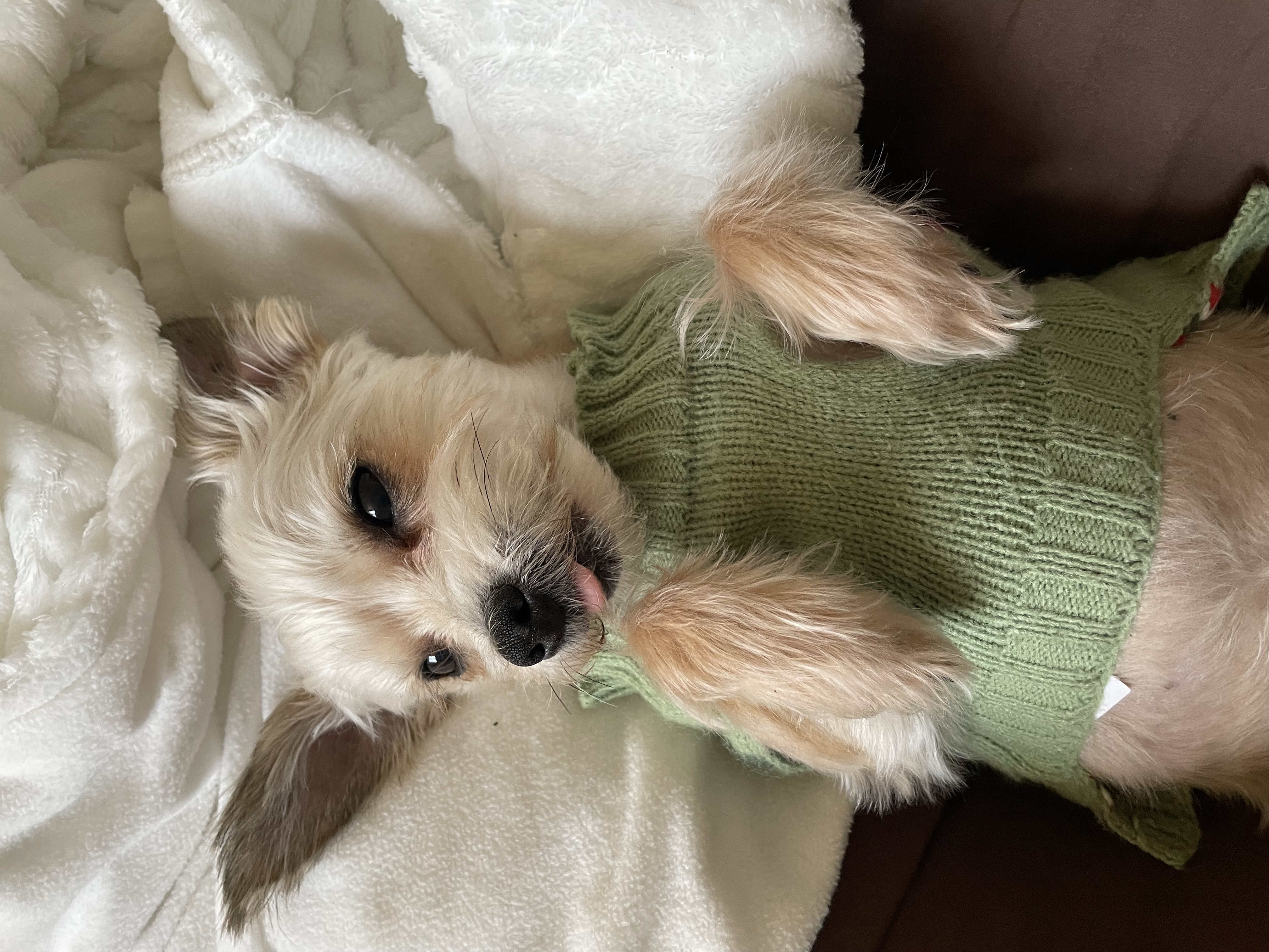 Alvin